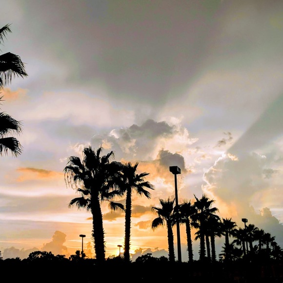 Meet your Posher, Tas - Picture 1 of 1